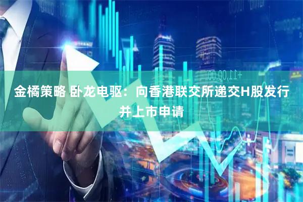 金橘策略 卧龙电驱：向香港联交所递交H股发行并上市申请