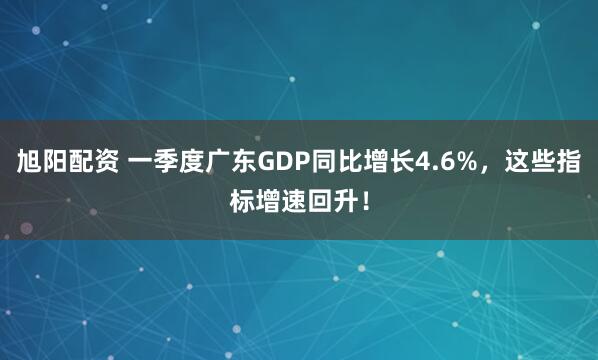 旭阳配资 一季度广东GDP同比增长4.6%，这些指标增速回升！