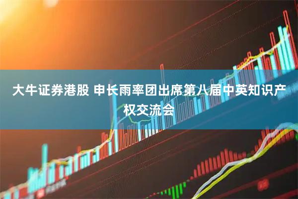 大牛证券港股 申长雨率团出席第八届中英知识产权交流会