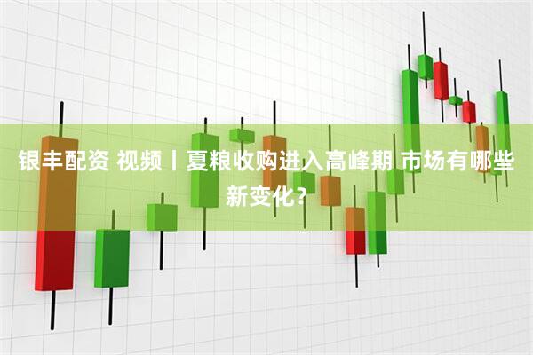 银丰配资 视频丨夏粮收购进入高峰期 市场有哪些新变化？